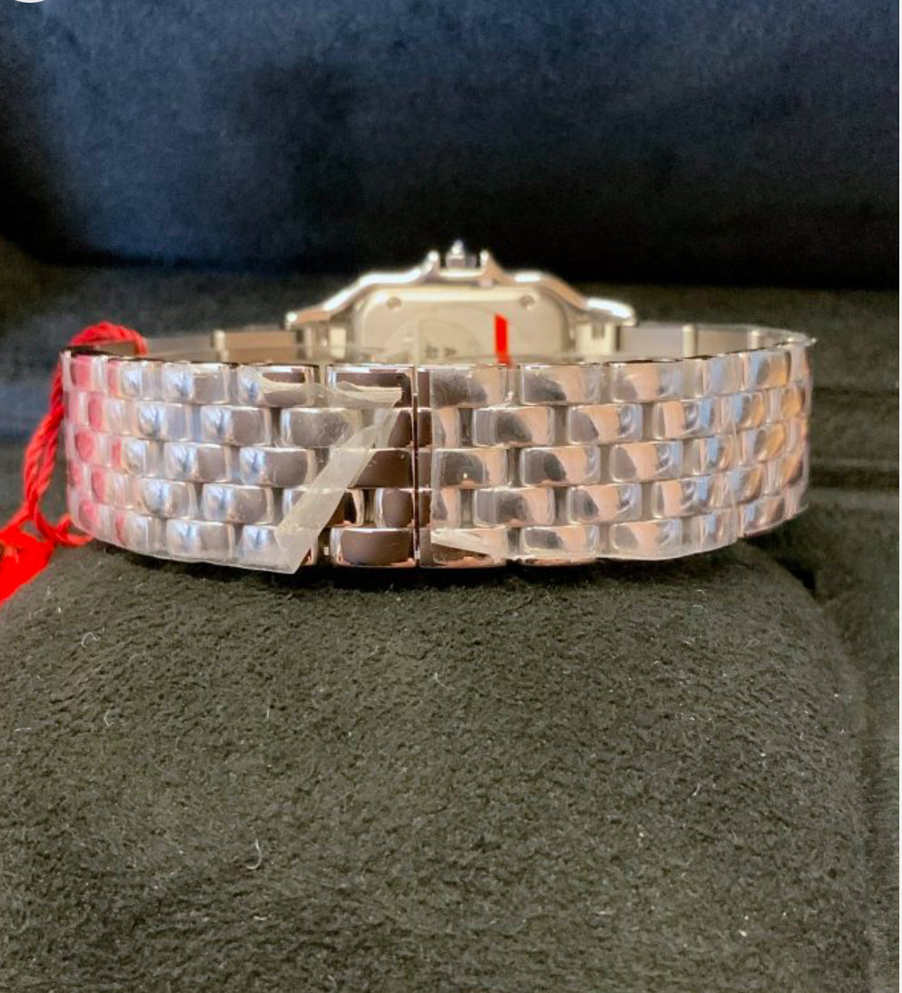 CARTIER PANTHERE STEEL