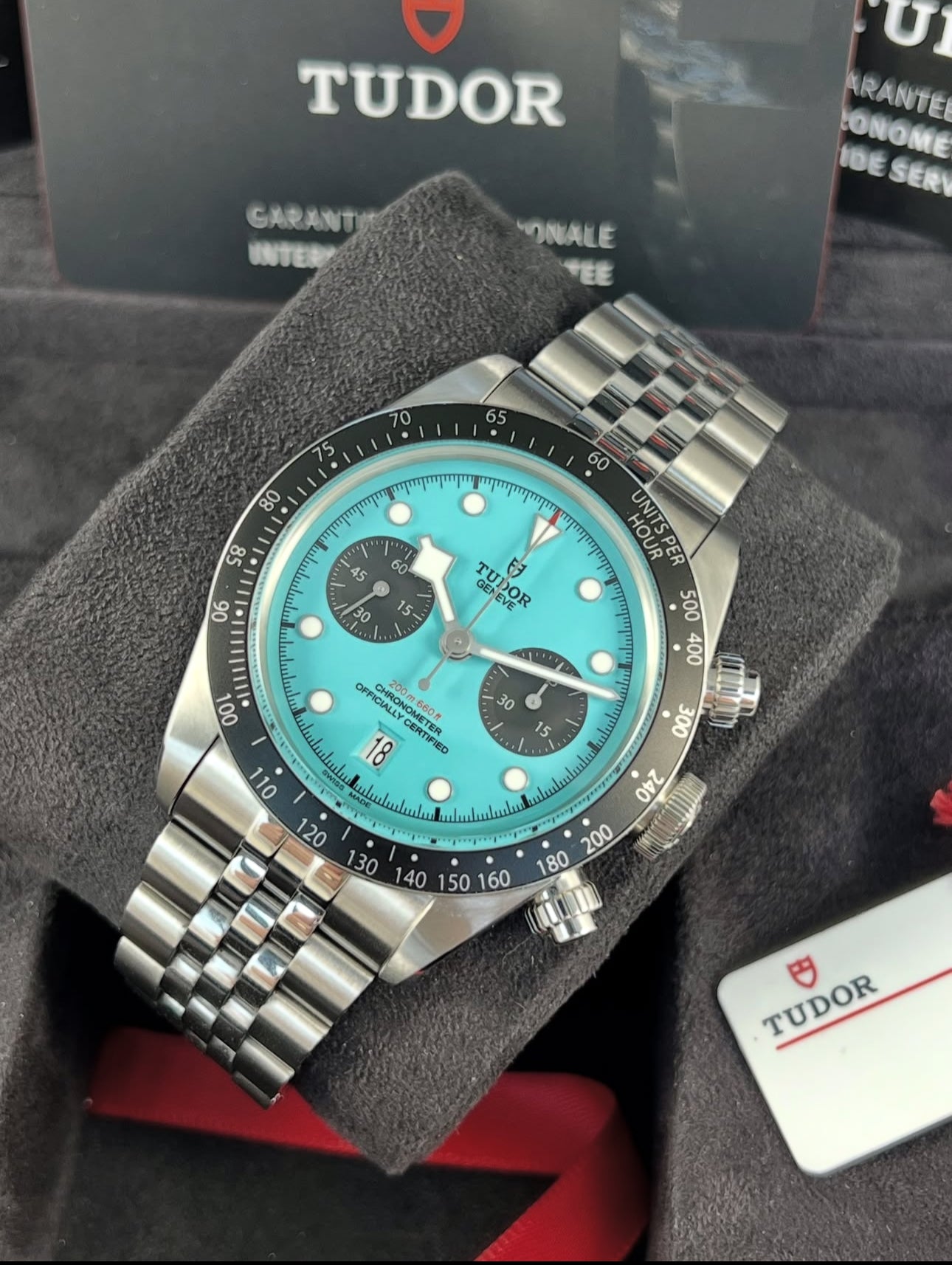 TUDOR BLACK BAY FLAMINGO BLUE