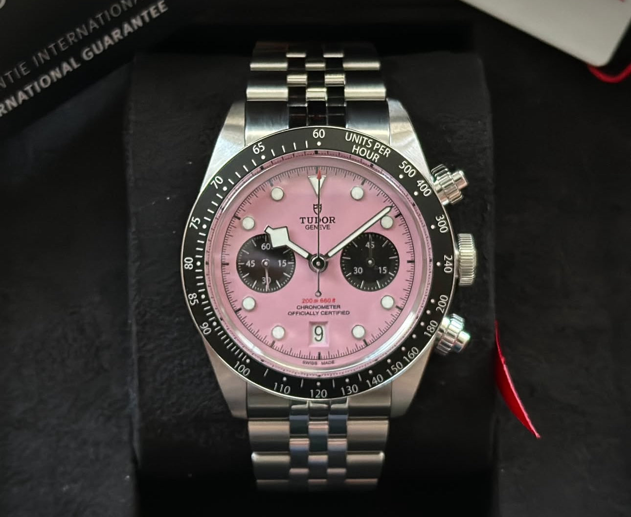 TUDOR BLACK BAY FLAMINGO PINK